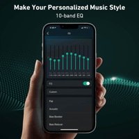 Arylic H50 Wireless Stereo Amplifier variant 10