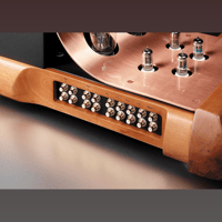 Unison Research Absolute 845 SE variant 4