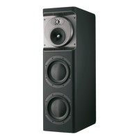 Bowers & Wilkins CT8 LR variant 1