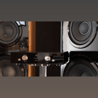 Daniel Hertz Bi-amplified M1 variant 10