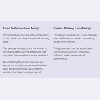 Cayin N6iii variant 21