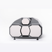 Wilson Audio Mezzo CSC variant 10