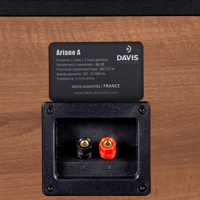 Davis Acoustics Ariane A variant 11