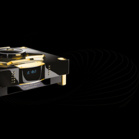 MBL - USA MBL 1621 A variant 2