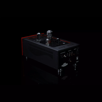 SW1x MPA II “Morpheus” Mono Power Amplifier variant 7