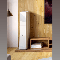 SVS SVS Ultra Evolution Titan variant 12