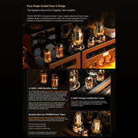 Cayin HA-300 MK3 variant 3