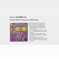 Cayin N7+ variant 10