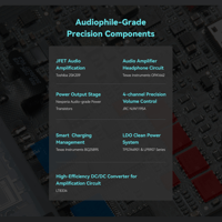 Cayin RU9 variant 13