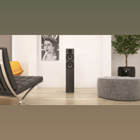 Acoustic Energy AE109 variant 6