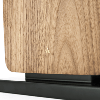 Argon Audio FORTE A55 WIFI variant 9