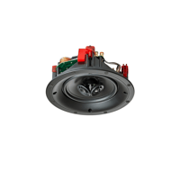 MartinLogan IC6-ST variant 4