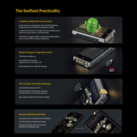 Cayin N8ii variant 16