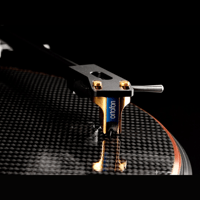 TW-Acustic Raven 10.5 Tonearm variant 11