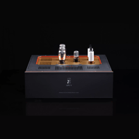 SW1x LPU IV Phono Pre-Amplifier variant 16