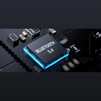 FiiO K13 R2R variant 16