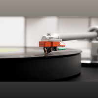 Sumiko Oriole variant 10