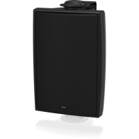 Tannoy DVS 4 variant 5