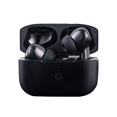 Hifiman TWS500
