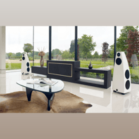 Meridian DSP9 variant 3