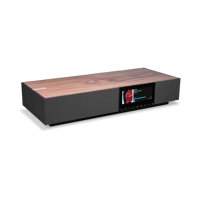 Cambridge Audio Evo One variant 4