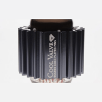 E.A.T. - European Audio Team ECC88 Cool Valve variant 1