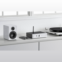 Pro-ject Audio Systems - USA Stereo Box E variant 4
