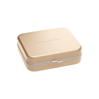 B&O-Bang & Olufsen  Case for Beoplay H95 variant 1