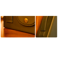 Cayin Cayin Multifunctional Carrying Case variant 6