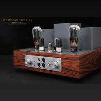 ThivanLabs FLAMINGO 300B H&S variant 1