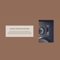 Magnat Transpuls variant 7