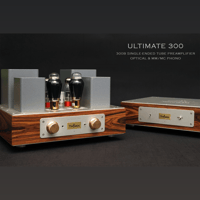 ThivanLabs ULTIMATE 300 – 300B Single-Ended Tube Preamplifier Optical & MM-MC Phono variant 10