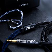 Oriolus PW AUDIO Orpheus with Shielding variant 1