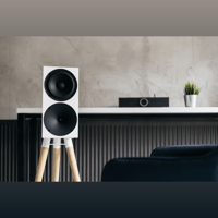 Buchardt Audio S400 MKII variant 11