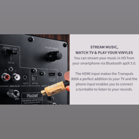 Magnat Transpuls 800A variant 4