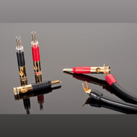 Transparent Cable Transparent Spade to BFA Adapter variant 1