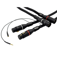 Tara Labs ISM™ Onboard The 0.8™ variant 1