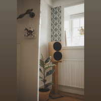 Buchardt Audio Anniversary 10 variant 22