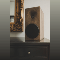 Buchardt Audio E50 variant 17