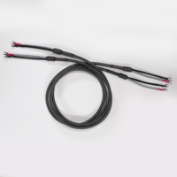 VooDoo Cable Velocity Speaker Cable variant 2