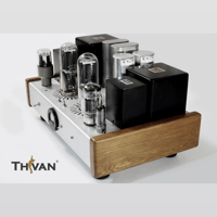ThivanLabs Special ultimate monoblock 845PP Amplifiers variant 6