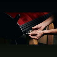 Sonus Faber Serafino variant 8