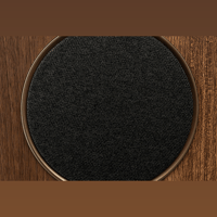 MartinLogan Motion Foundation C1 variant 3
