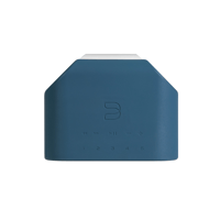 Bluesound PULSE FLEX Skin variant 6