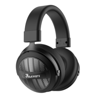 Kiwi Ears Ellipse variant 2