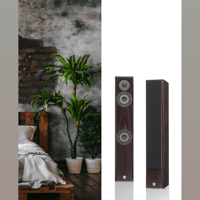 Vienna Acoustics mozart infinity variant 4