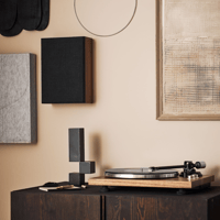 Argon Audio FORUS 4 WALL variant 17