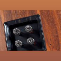 ProAc Loudspeakers Response D30S variant 6