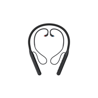 FiiO LC-BT2 variant 3