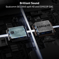 Arylic H50 Wireless Stereo Amplifier variant 7